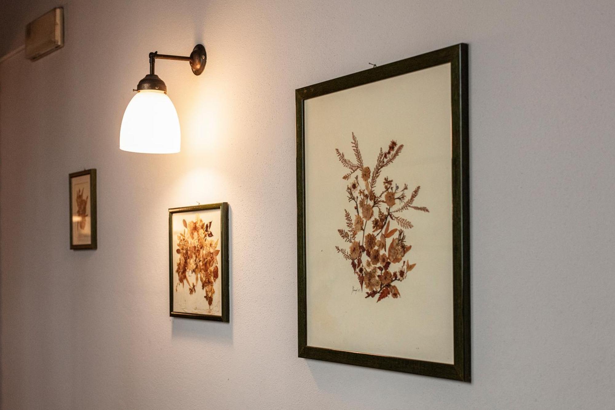 Agriturismo Il Palazzone Montegalda Eksteriør billede