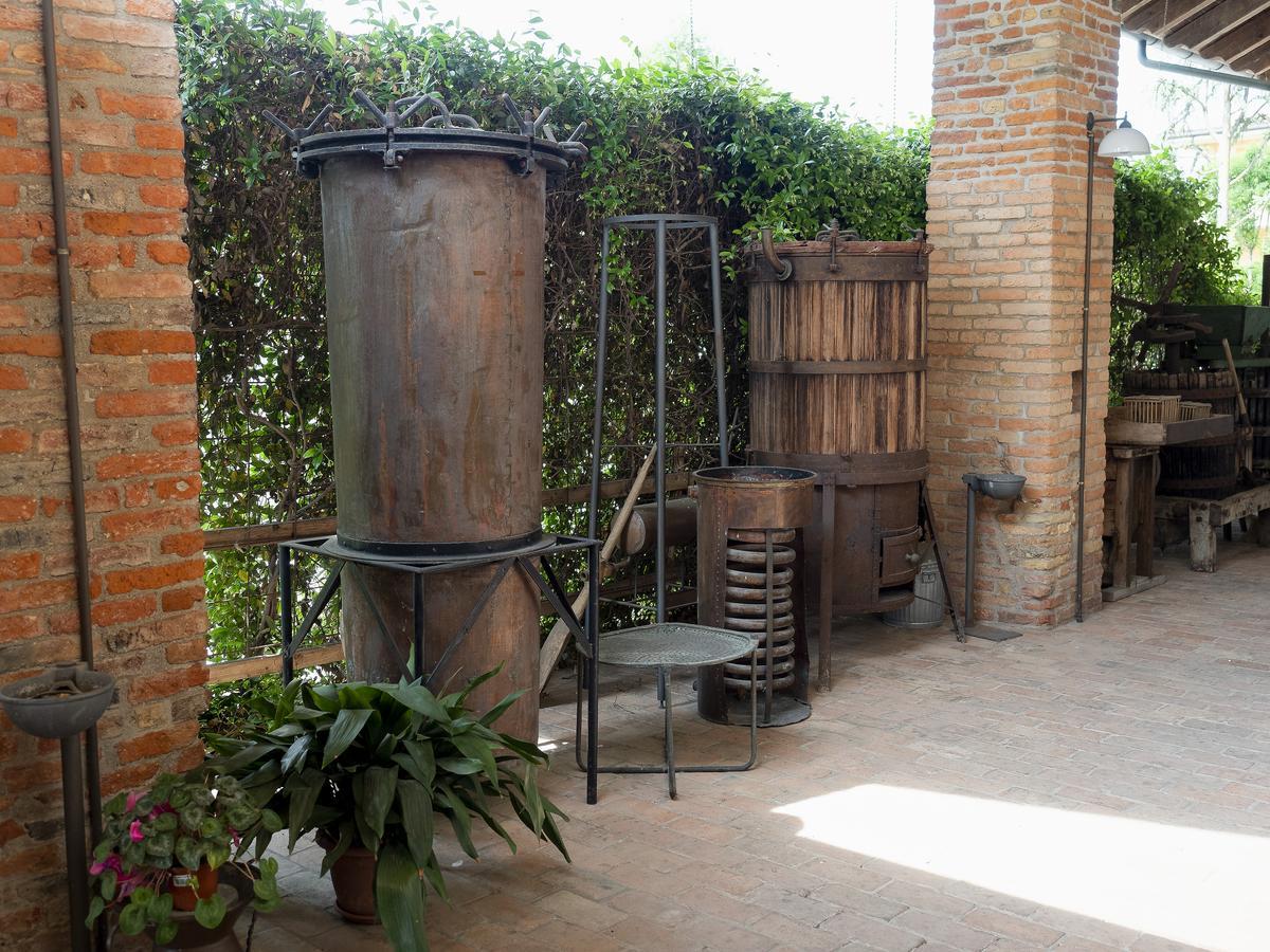 Agriturismo Il Palazzone Montegalda Eksteriør billede
